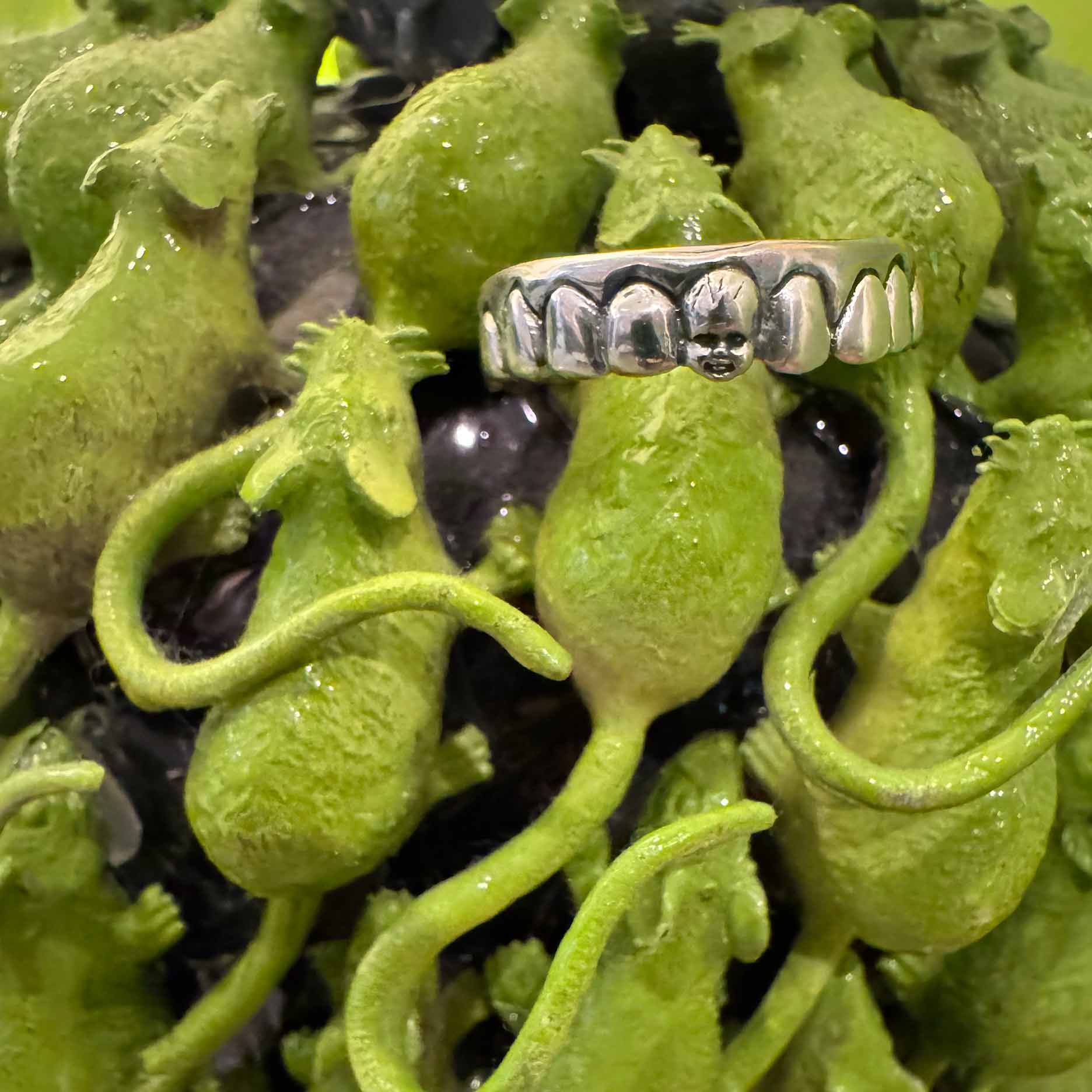 Baby Tooth Ring - Image 12